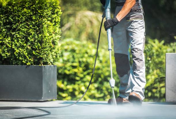 Best Sidewalk and Walkway Cleaning  in Bloomington, CA